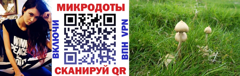 мега   где можно купить наркотик  Калуга  Псилоцибиновые грибы мухоморы 